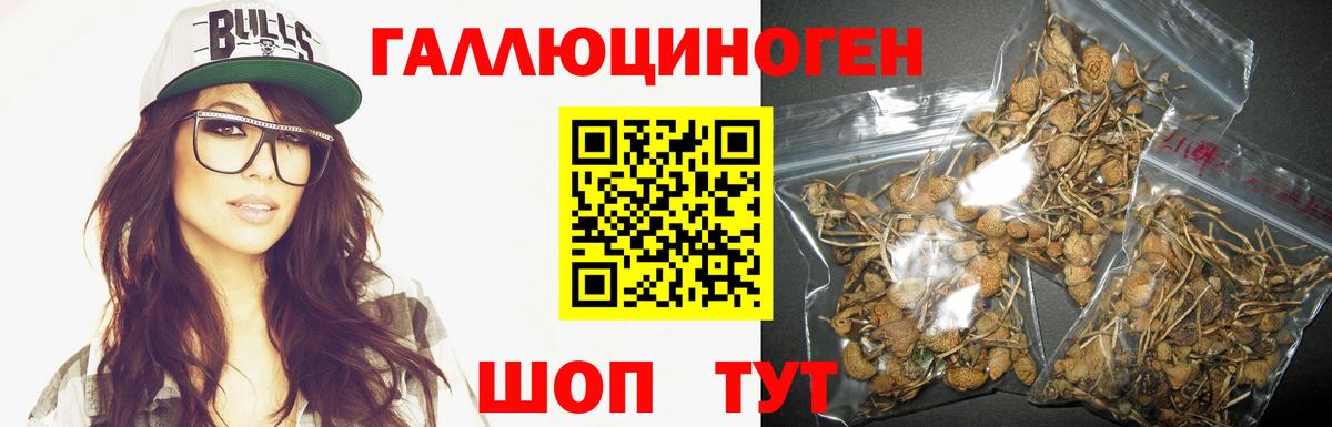 Галлюциногенные грибы Psilocybine cubensis  Псилоцибиновые грибы Magic Shrooms  Людиново  Вход с VPN 